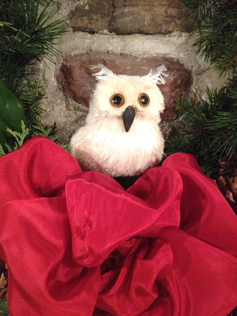 owl in the wreath