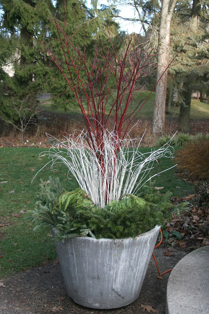 Winter container -- The Impatient Gardener