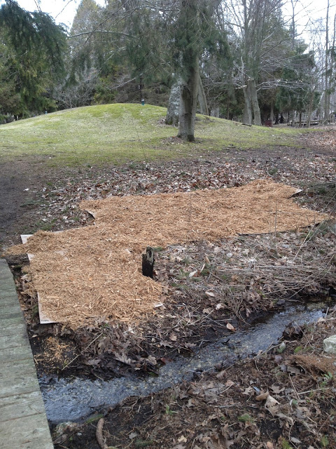 Weed cover with mulch