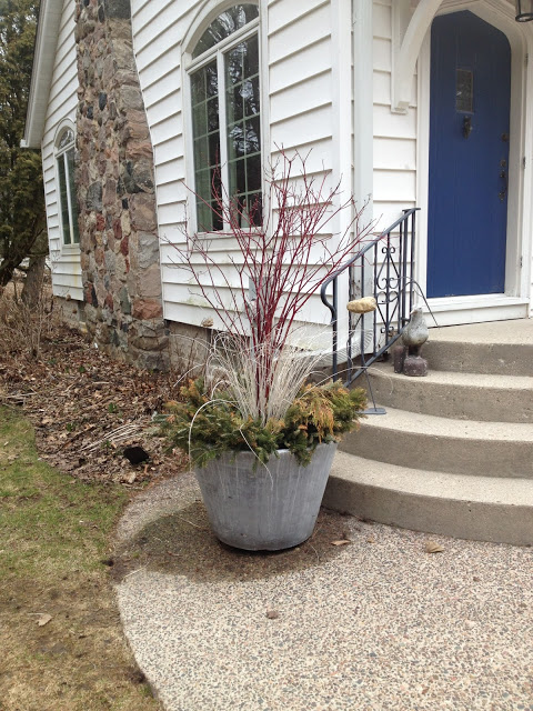 Winter container in spring