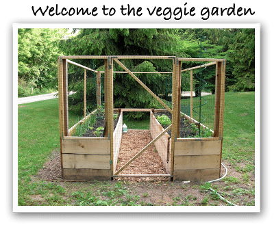 The Ever Expanding Garden The Impatient Gardener