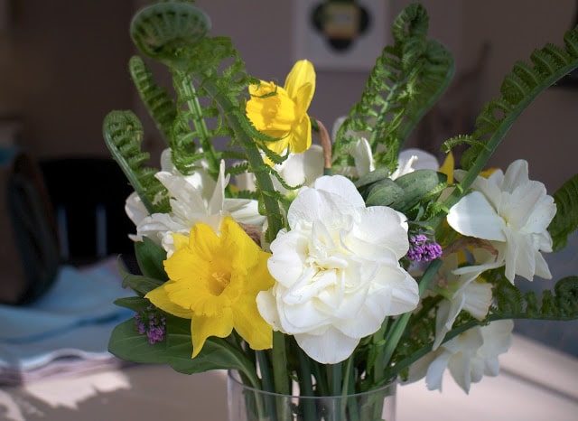 Garden Appreciation Society, daffodils, ferns, Virginia bluebells
