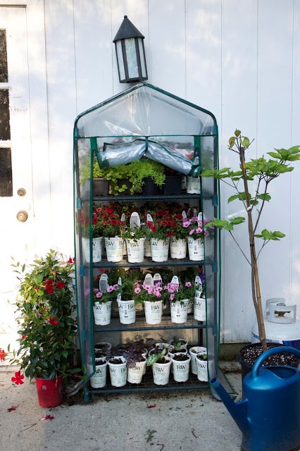 Hardening-off greenhouse