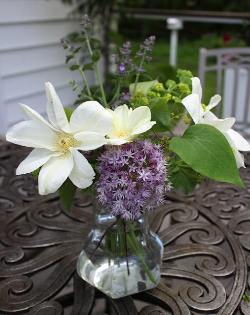 The Impatient Gardener -- Garden Appreciation Society Week 6 Guernsey Cream clematis, allium, lady's mantle, nepeta