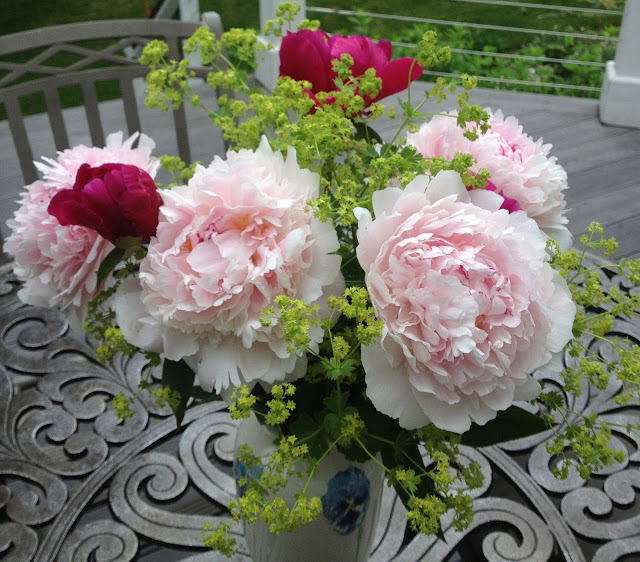The Impatient Gardener -- The Garden Appreciation Society; peonies and Lady's Mantle