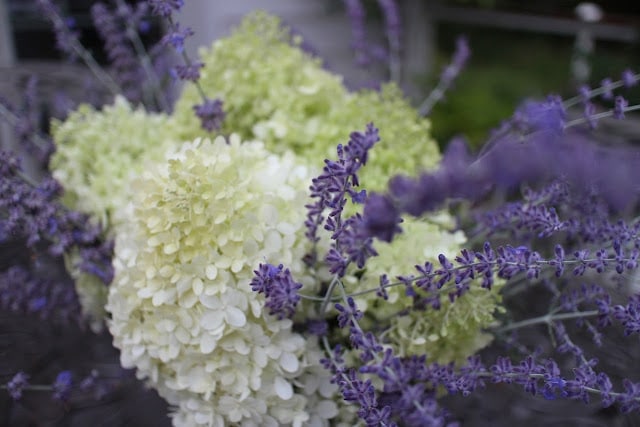 The Garden Appreciation Society, The Impatient Gardener, Limelight hydrangea + Russian sage