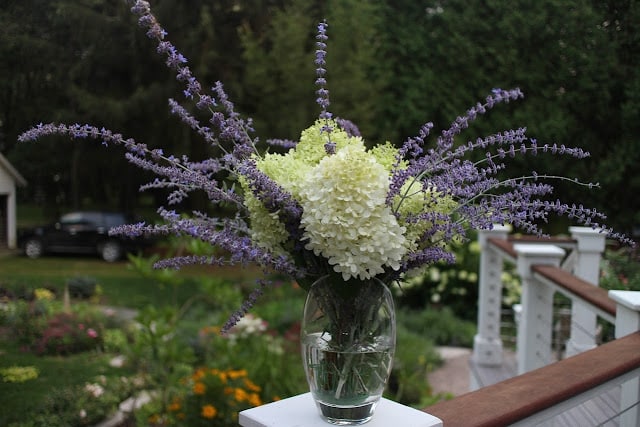 The Garden Appreciation Society, The Impatient Gardener, Limelight hydrangea + Russian sage