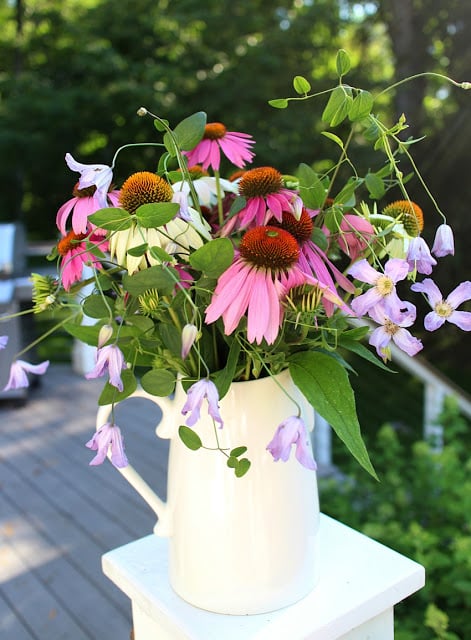 The Impatient Gardener -- The Garden Appreciation Society