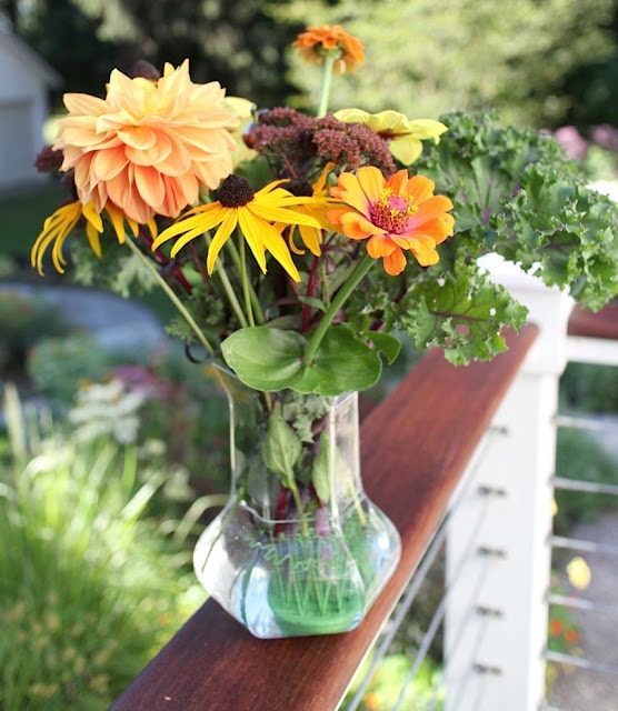 The Impatient Gardener -- The Garden Appreciation Society