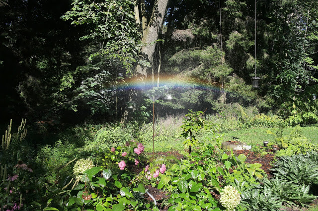 Watering rainbow