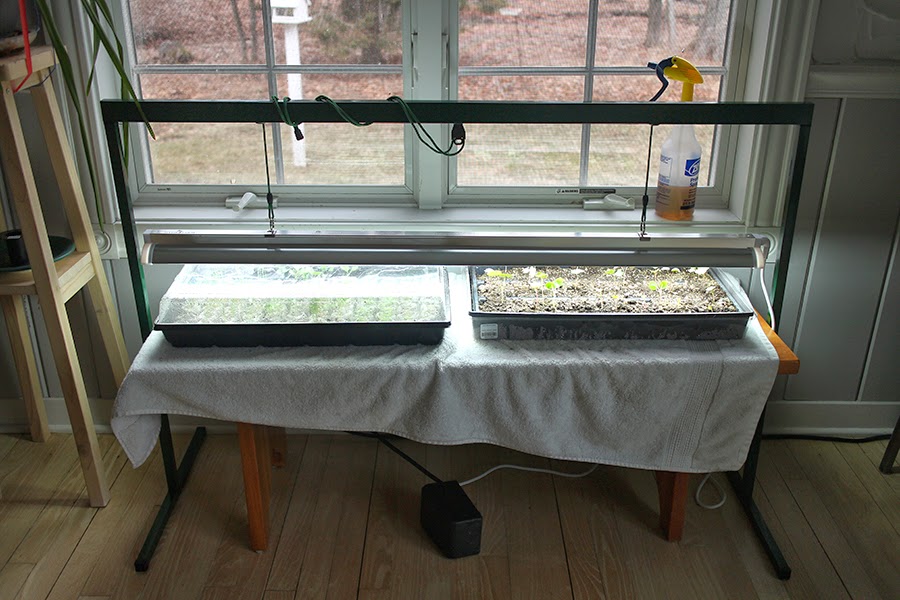 Seed starting