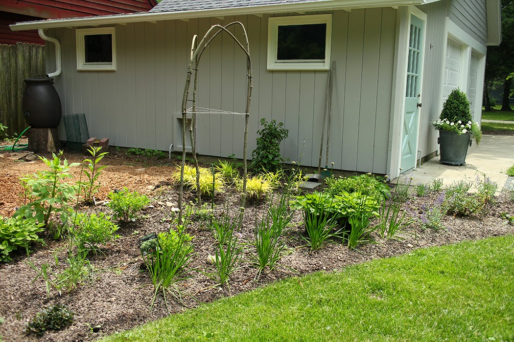 Redesigned back yard (The Impatient Gardener)