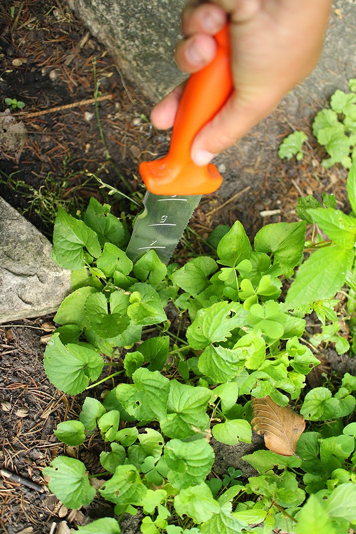 Five ways to deal with weeds without chemicals: The Impatient Gardener
