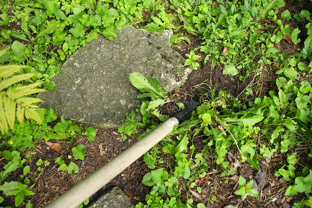 FIVE WAYS TO DEAL WITH WEEDS (WITHOUT CHEMICALS) | The Impatient Gardener