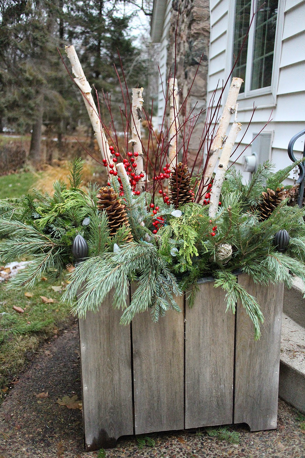 Holiday container with birch, dogwood, greens, pine cones-- The Impatient Gardener