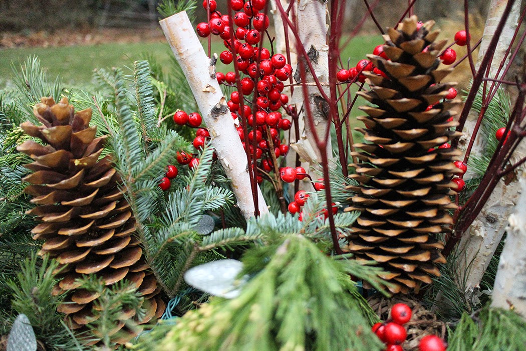 pine cone, birch, berry, dogwood container detail -- The Impatient Gardener