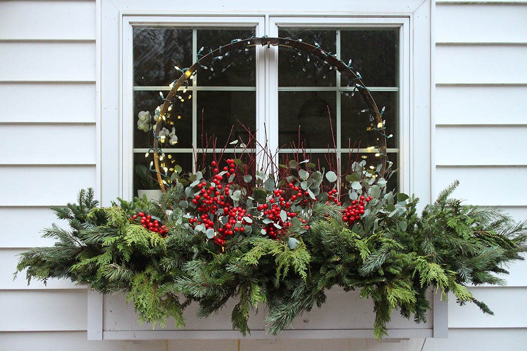 holiday window box with steel ring: The Impatient Gardener