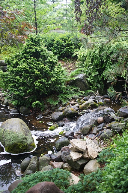 organic pond