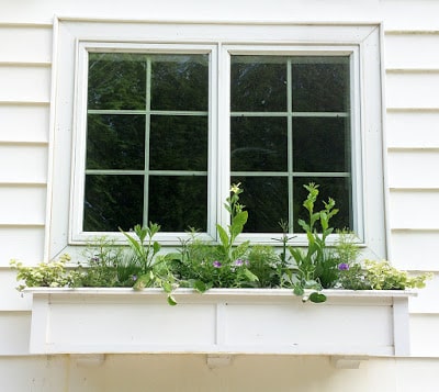 Window box planting 2015