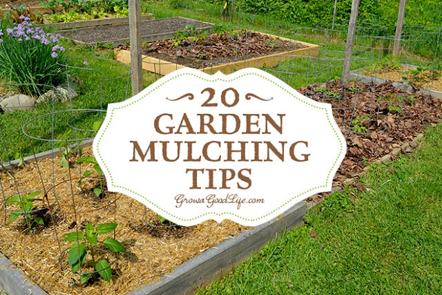 http://growagoodlife.com/garden-mulching-tips/