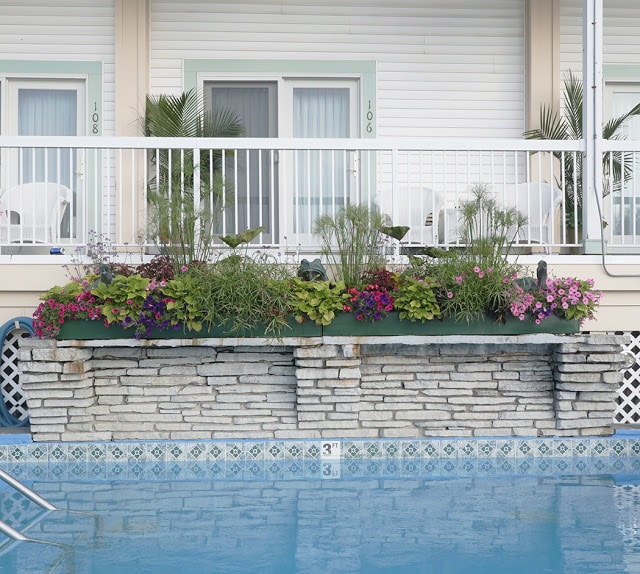 Poolside window box