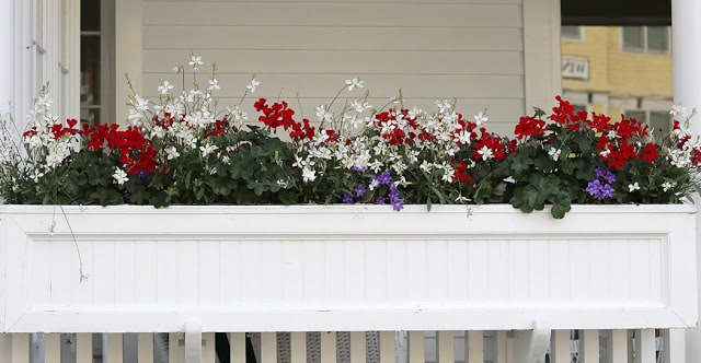 Red, white and blue window box
