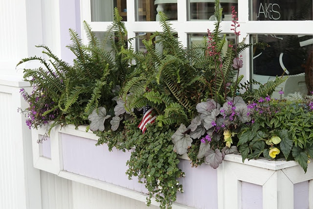 Shade window box