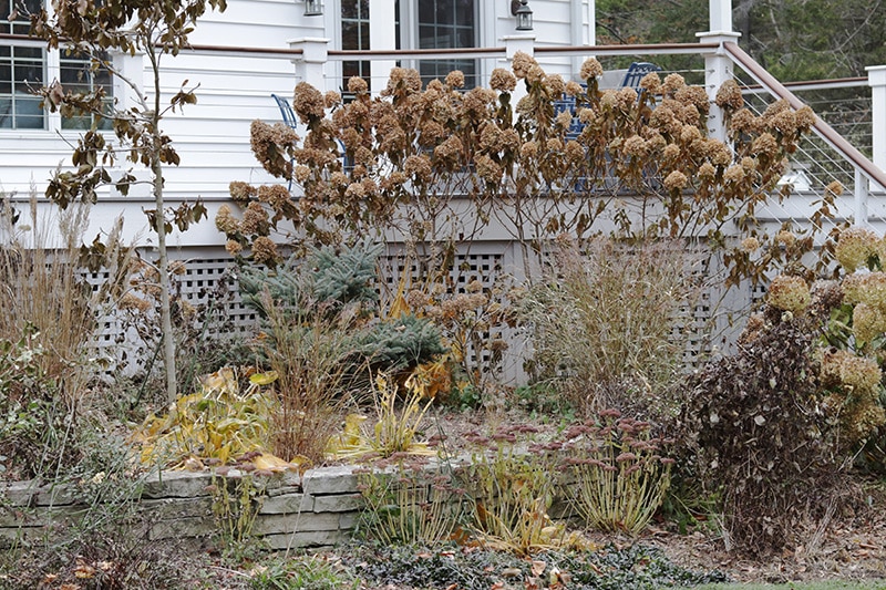 Fall garden in shades of brown