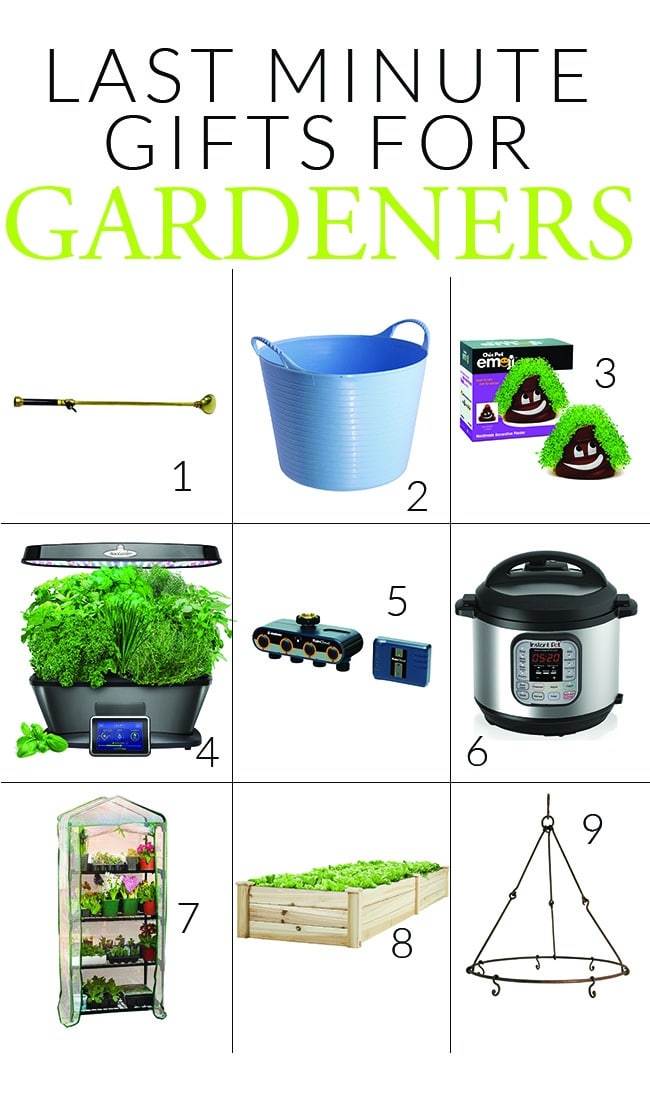 last-minute gifts for gardeners