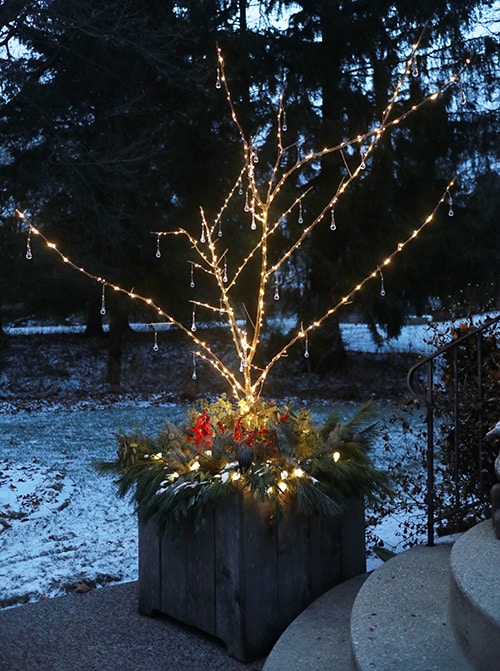 Lighted Christmas container