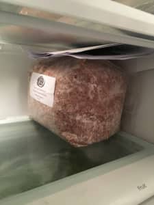 mushroom spawn in fridge