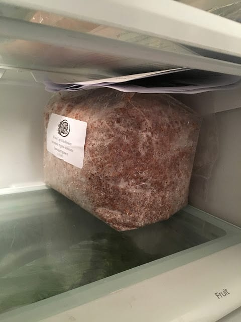 mushroom spawn in fridge