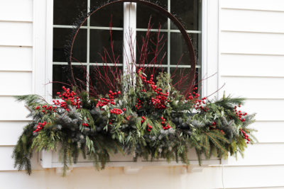 Container designs for the holidays and beyond | The Impatient Gardener