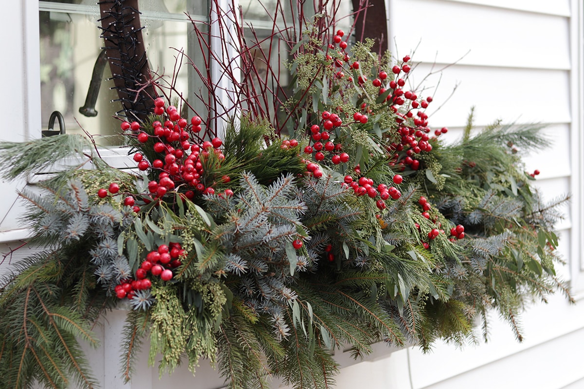 Mix of greens in a window box