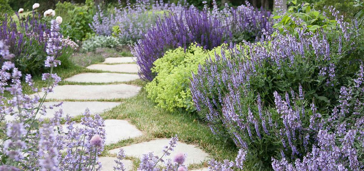 Colorful garden