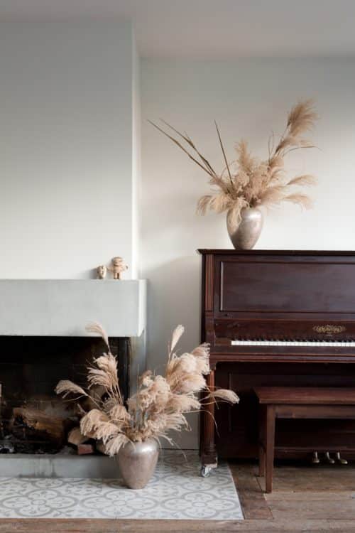 Photograph by Beth Coller for Gardenista. See more at 10 Ways to Bring Nature Home with Sophia Moreno-Bunge.