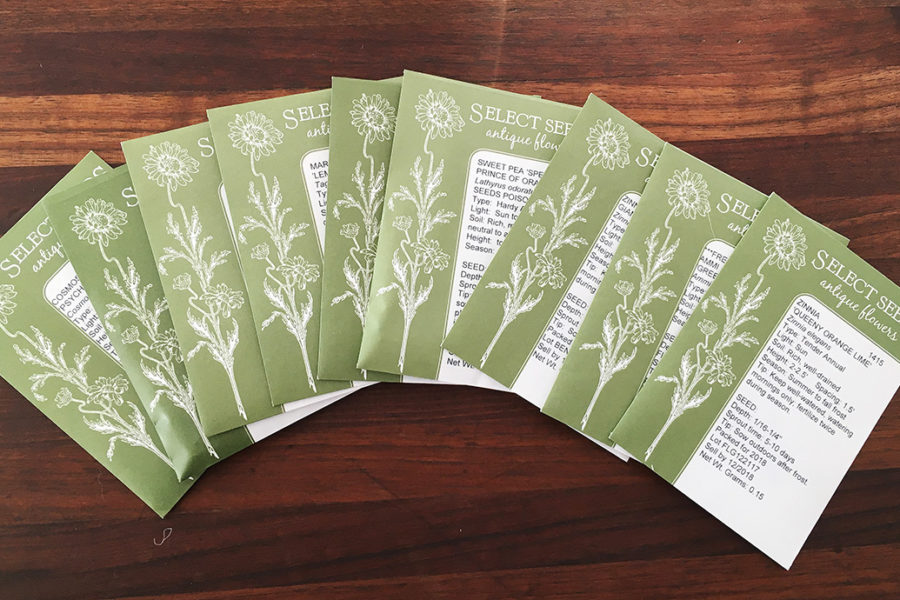 seed organization