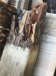 Rotted cedar posts