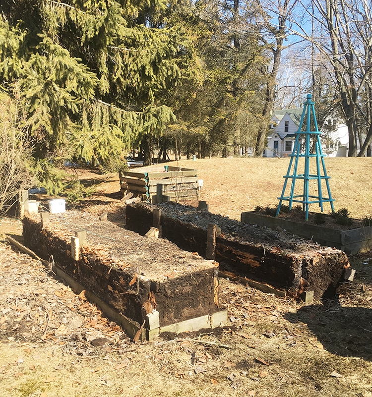 Demolished veggie garden