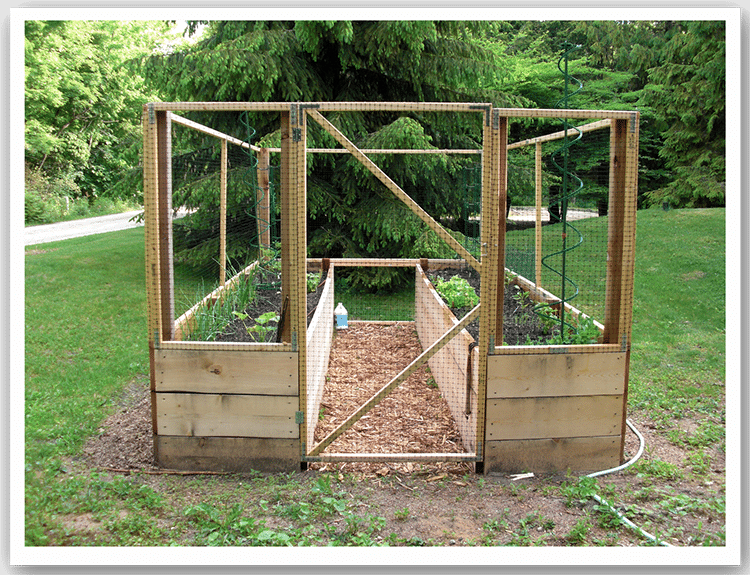 Raised bed vegetable garden with deer protection