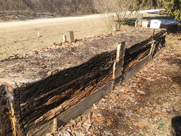 demolished raised bed garden