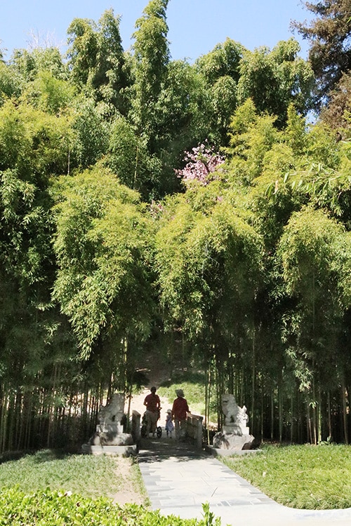 huntington bamboo walkway