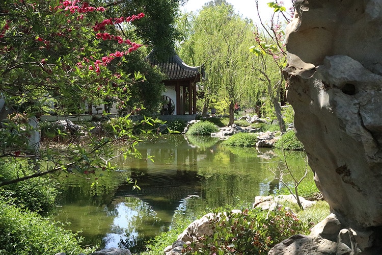 huntington japapense pond