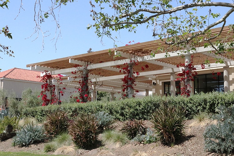 Huntington Garden, roses on pergola