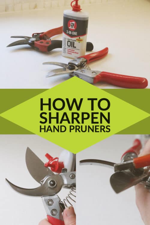 How to sharpen pruners