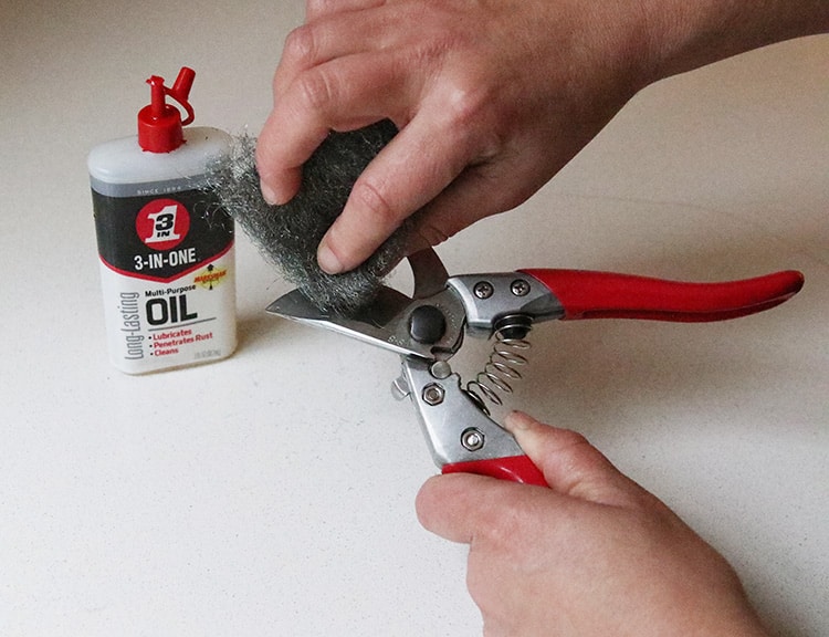 How To Clean And Sharpen Hand Pruners
