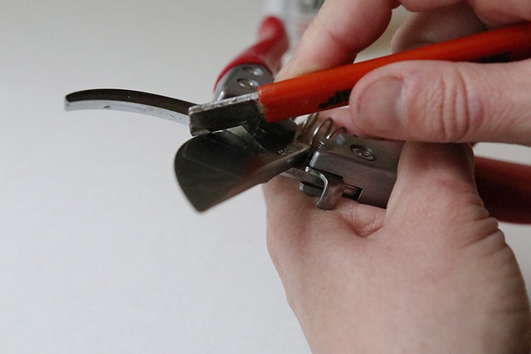 Sharpening pruners