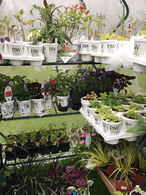 Full greenhouse