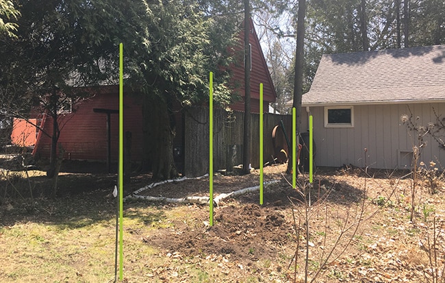 Placement of new hornbeam hedge