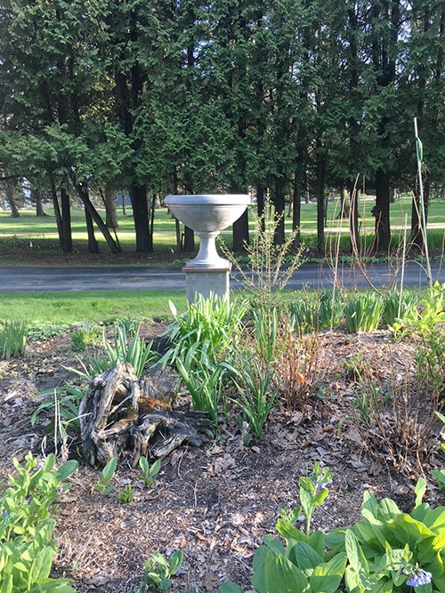 urn in garden